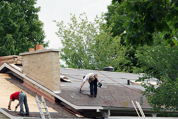 Best Roof Waterproofing Services  in Los Fresnos, TX