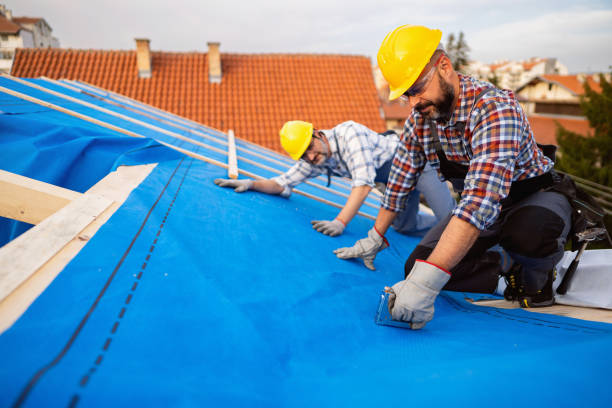 Best Metal Roofing Contractor  in Los Fresnos, TX