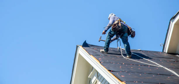 Best Roof Maintenance Services  in Los Fresnos, TX